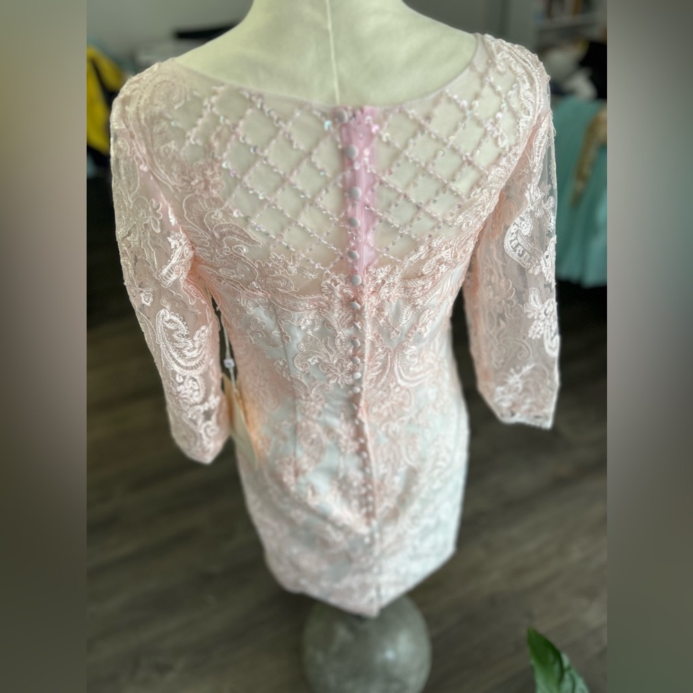 🩷LanTing Sz 6-8 Pink Dress Lace NWT🩷 Measurements Included! - Picture 10 of 17